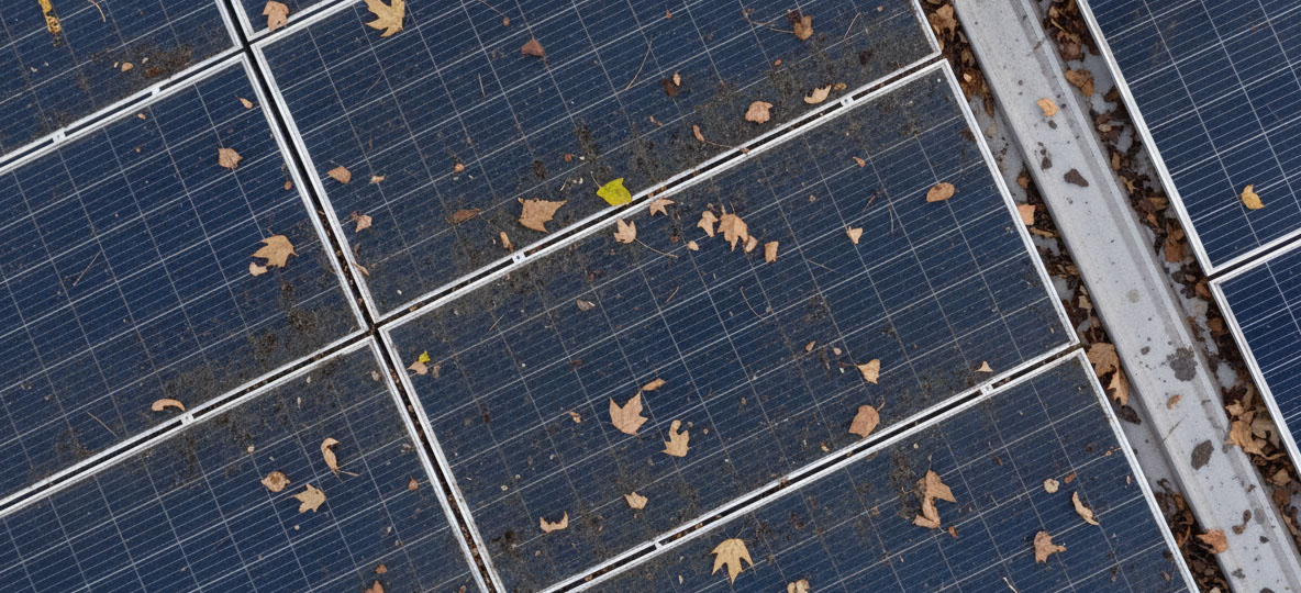 Firefly_Gemini-Flash_mache-die-oberflaeche-etwas-schmutzig-staubig-dreckig-auch-mit-blaettern-etc